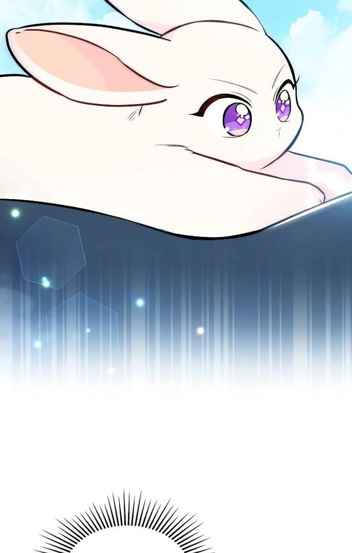 76470005 689 1080 49136